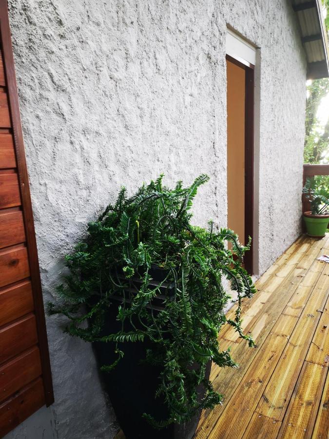Bungalow Maelie La Trinité Eksteriør bilde